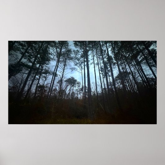 Trees & Fog, ポスター (正面)