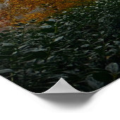 Trees & Fog,  Poster ポスター (角)