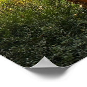 Trees & Fog,  Poster ポスター (角)