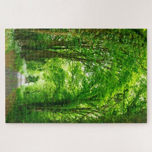 Trees in Park Path in自然写真Add文字 ジグソーパズル (横)