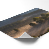 Trees in the morning mis ポスター (角)