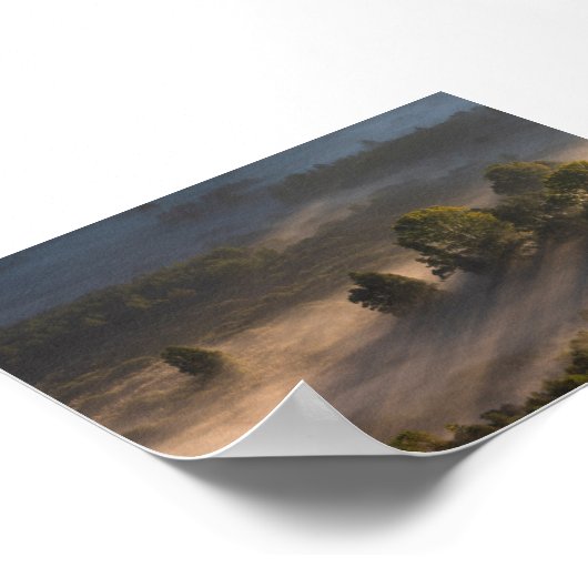 Trees in the morning mis ポスター (角)