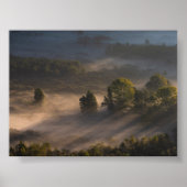 Trees in the morning mis ポスター (正面)