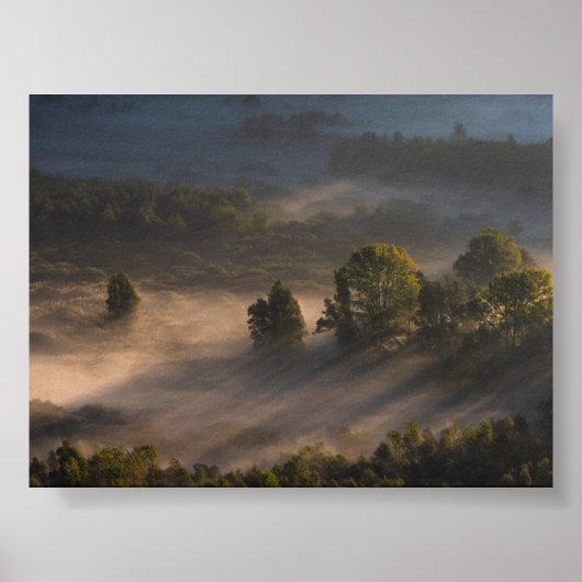 Trees in the morning mis ポスター (正面)
