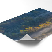 Trees in the morning mist ポスター (角)