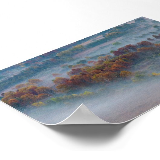 Trees in the morning mist ポスター (角)