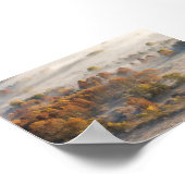 Trees in the morning mist ポスター (角)