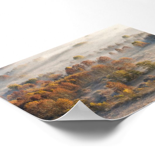 Trees in the morning mist ポスター (角)