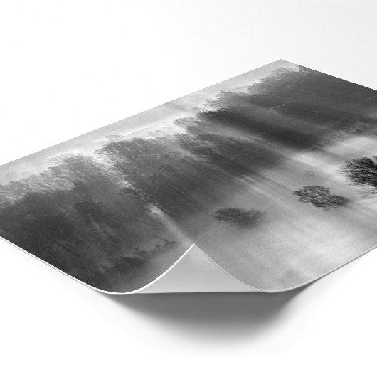 Trees in the morning mist ポスター (角)