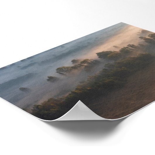 Trees in the morning mist ポスター (角)