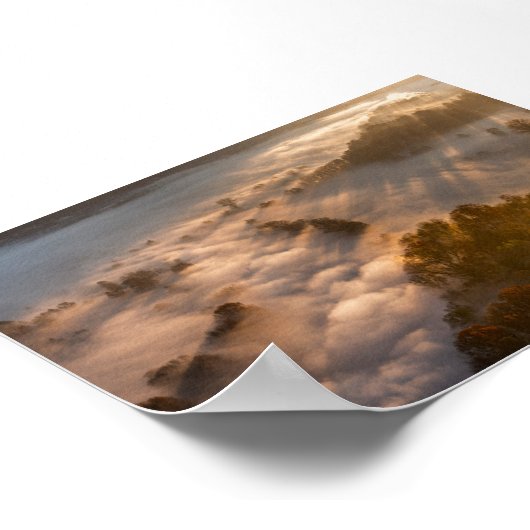 Trees in the morning mist ポスター (角)