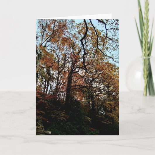 Trees , on the bank カード (正面)