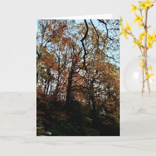 Trees , on the bank カード (黄色い花)