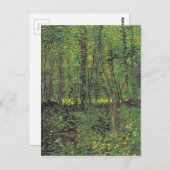Trees & Undergrowth by Vanゴッホ ポストカード (正面/裏面)