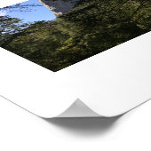 Treeview Yosemiteグリーンブルーカラー写真 ポスター (角)