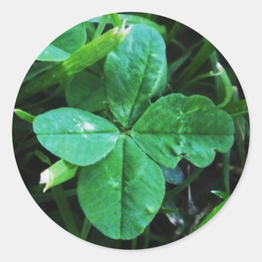 Trèfle à quatre feuilles Sticker ラウンドシール (正面)