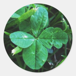 Trèfle à quatre feuilles Sticker ラウンドシール