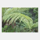 Trendy Fresh Fern Background Set of 3 ラッピングペーパーシート (正面2)