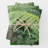Trendy Fresh Fern Background Set of 3 ラッピングペーパーシート (インサイチュ)