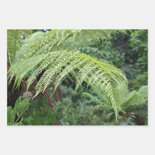 Trendy Fresh Fern Background Set of 3 ラッピングペーパーシート (正面)