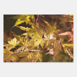 Trendy Japanese Maple Background Set of 3 ラッピングペーパーシート