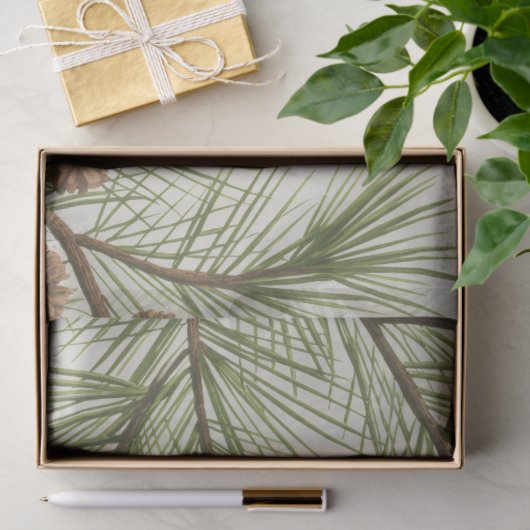 Trendy Merry Christmas Pine Cones and Branches     薄葉紙 (ギフト)