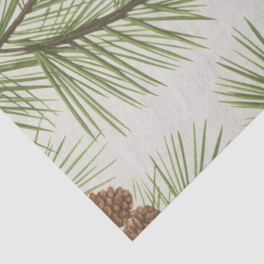 Trendy Merry Christmas Pine Cones and Branches     薄葉紙 (詳細)