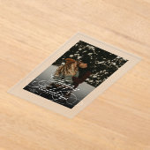 Trendy Modern Script & Arch 1 Photo Christmas Card アクリル招待状 (レイダウン)