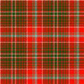 Trendy Tartan Blanket Personalized Christmas Gift フリースブランケット