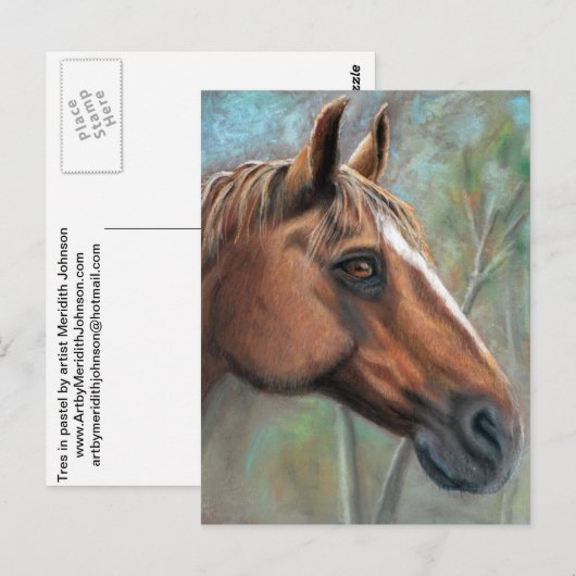 Tresはがき ポストカード (正面/裏面)