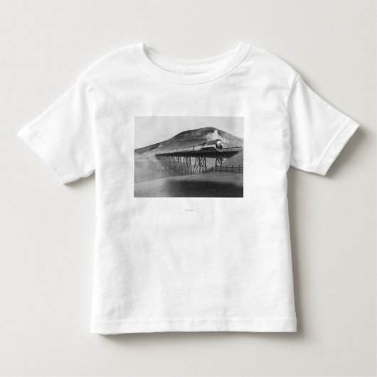 Tressel上の日光の限られた鉄道 トドラーTシャツ (正面)