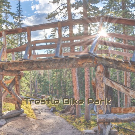 Trestle Bike Park Sticker シール (正面)