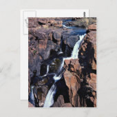 Treur River Canyon、Eastern Transvaal、South Afric ポストカード (正面/裏面)