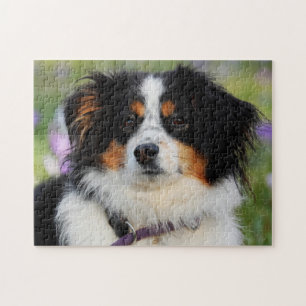 Tri Color Australian Shepherd Puppy Dog ジグソーパズル