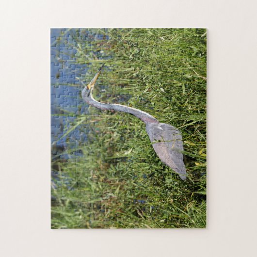 Tri Colored Heron ジグソーパズル (縦)