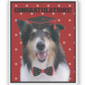 Tri Rough Collie Congratulations Graduate シール (正面)