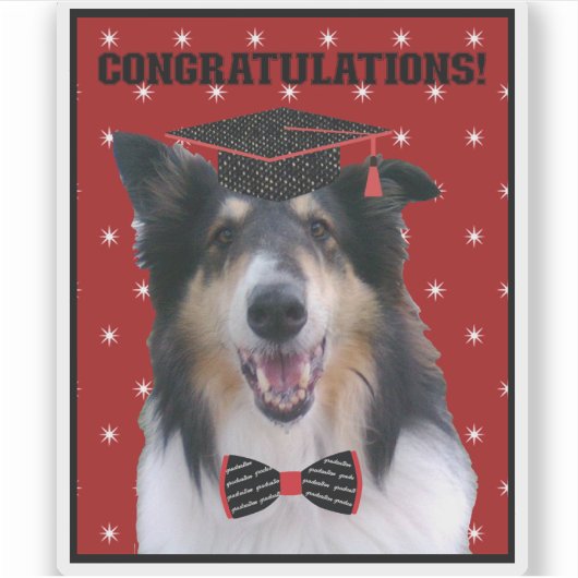 Tri Rough Collie Congratulations Graduate シール (正面)