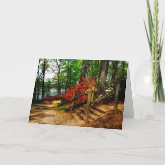 Triadelphia -空白のな挨拶状 カード (正面)