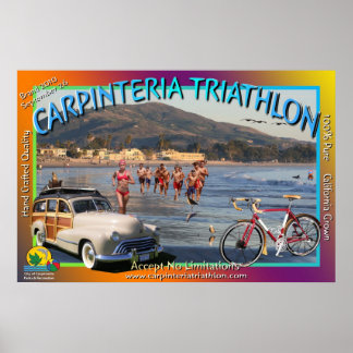 triathlon 2010 flattened image1 ポスター