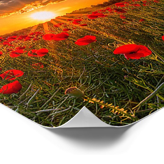 Tribute Spitfire ポスター (角)