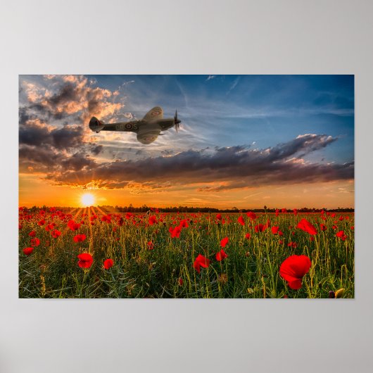 Tribute Spitfire ポスター (正面)