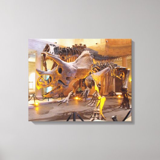 Triceratops Skeleton Canvas Print キャンバスプリント (正面)