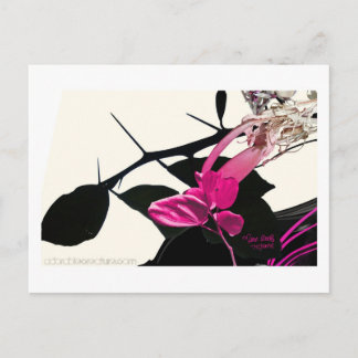 Trichomeの郵便はがき ポストカード