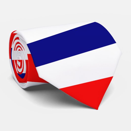 Tricolore Français ネクタイ (ロール)
