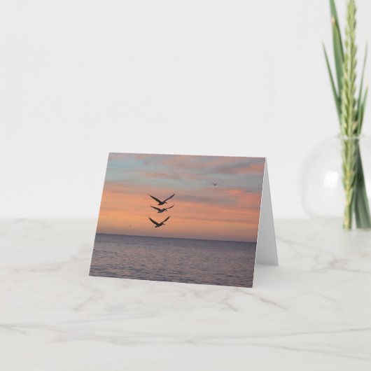 Trifecta Fly Over Folded Thank You Card サンキューカード (正面)