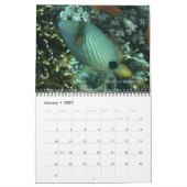 Triggerfishes Wall Calendar by J.W. Fathree. カレンダー (1月 2027)