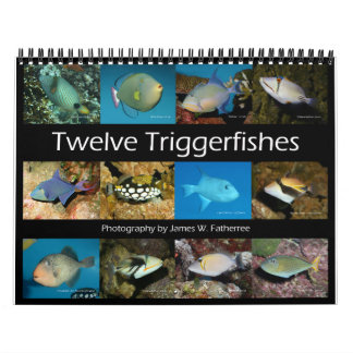 Triggerfishes Wall Calendar by J.W. Fathree. カレンダー