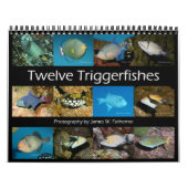 Triggerfishes Wall Calendar by J.W. Fathree. カレンダー (カバー)