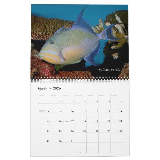 Triggerfishes Wall Calendar by J.W. Fathree. カレンダー (3月 2026)