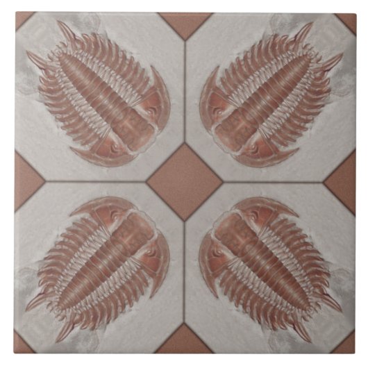 Trilobiteのタイル タイル (正面)